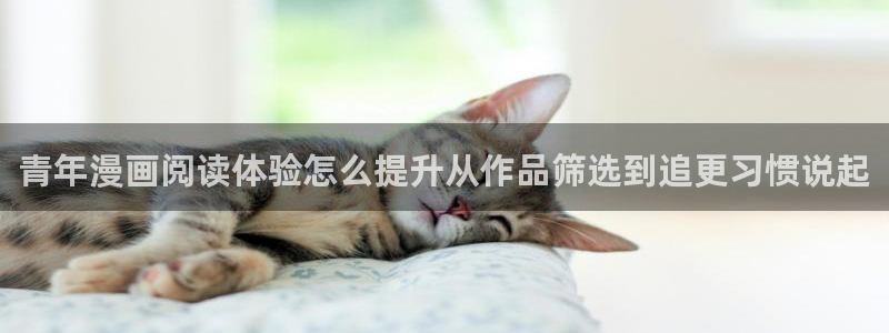 漫画岛漫画查找