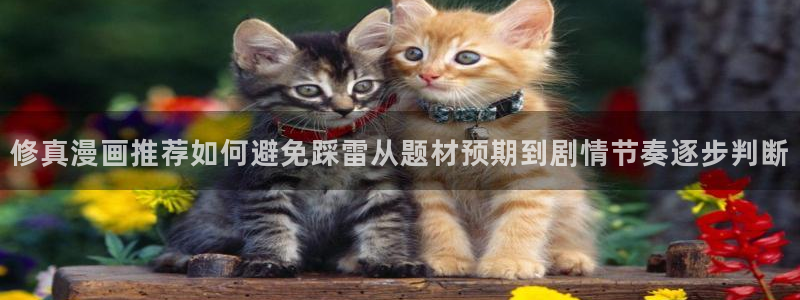 漫画岛免费在线阅读