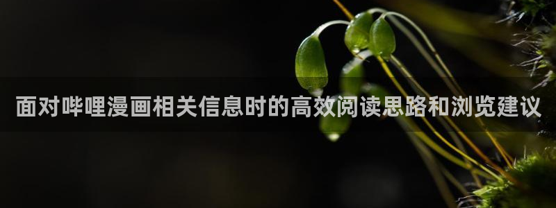 漫画岛网站地址
